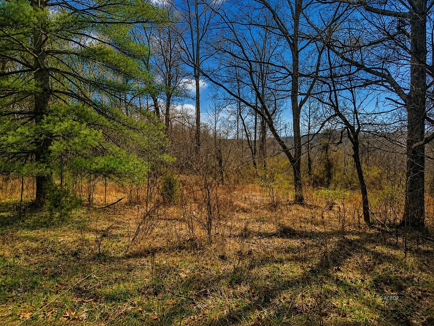 799 Woodruff Rd Property Photo 2