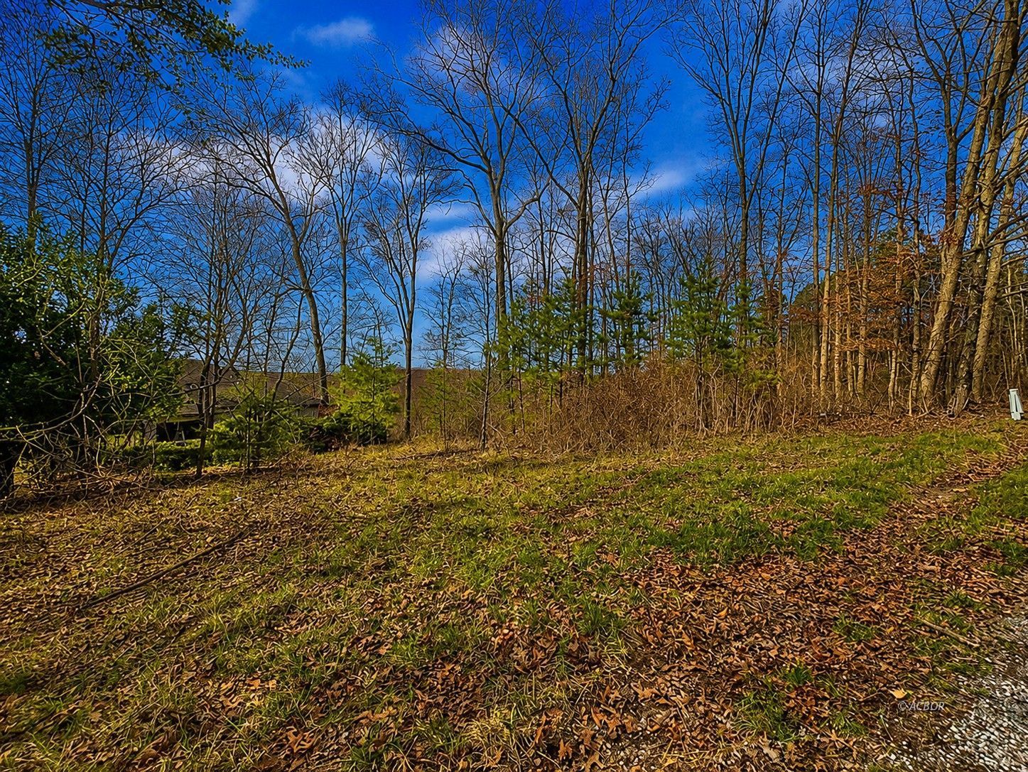 799 Woodruff Rd Property Photo 3