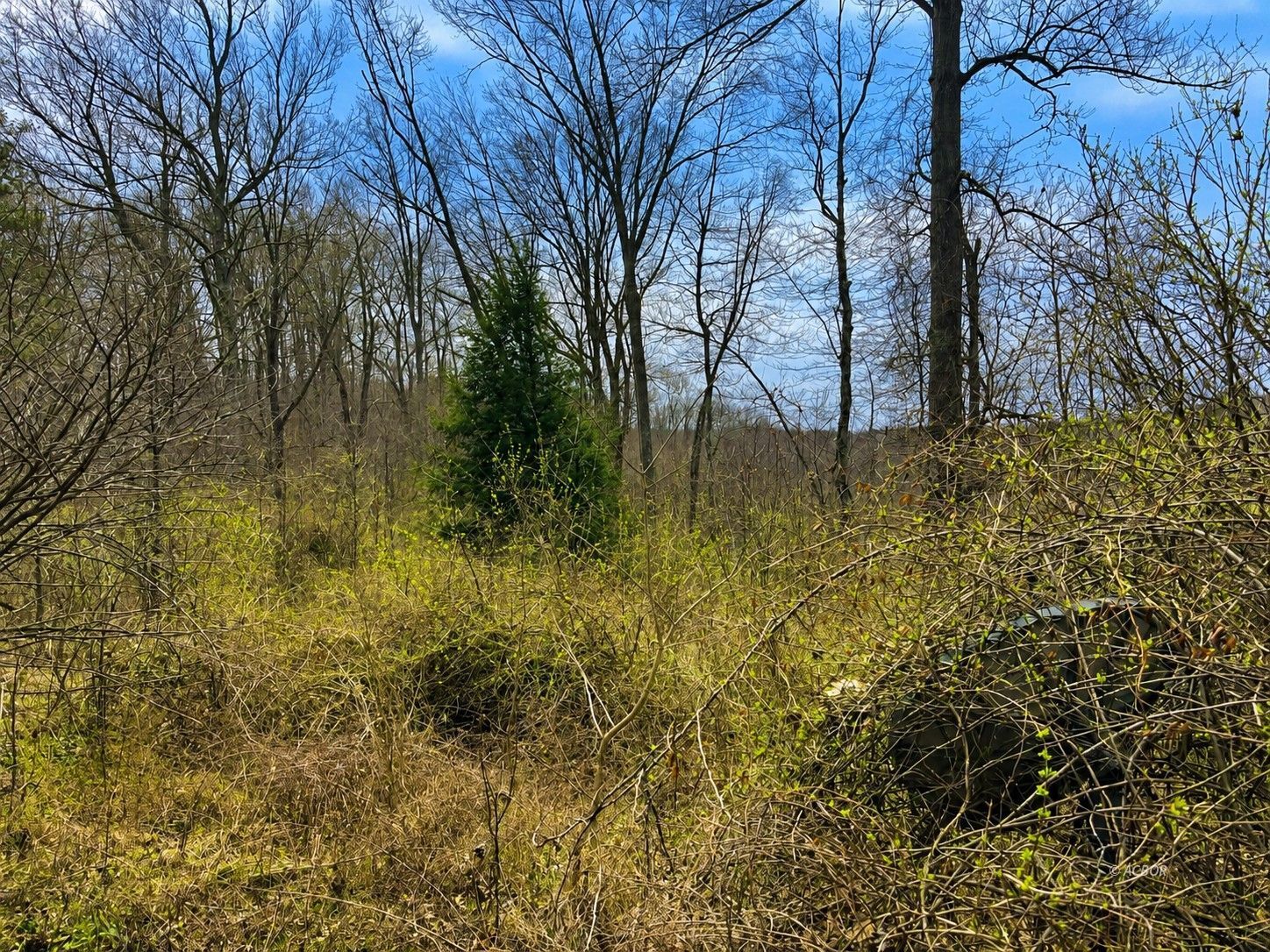 799 Woodruff Rd Property Photo 4