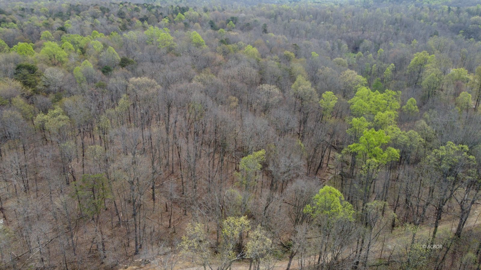 Carpenter Road Property Photo 4