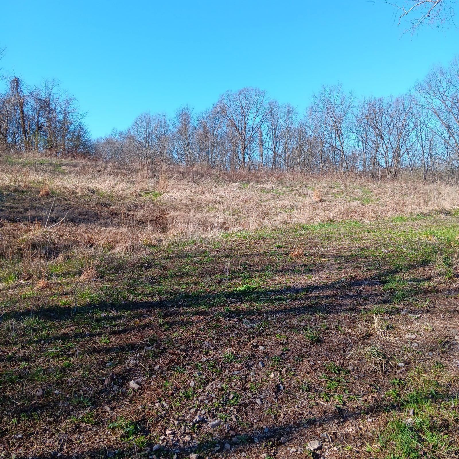 Setty Rd Property Photo 3
