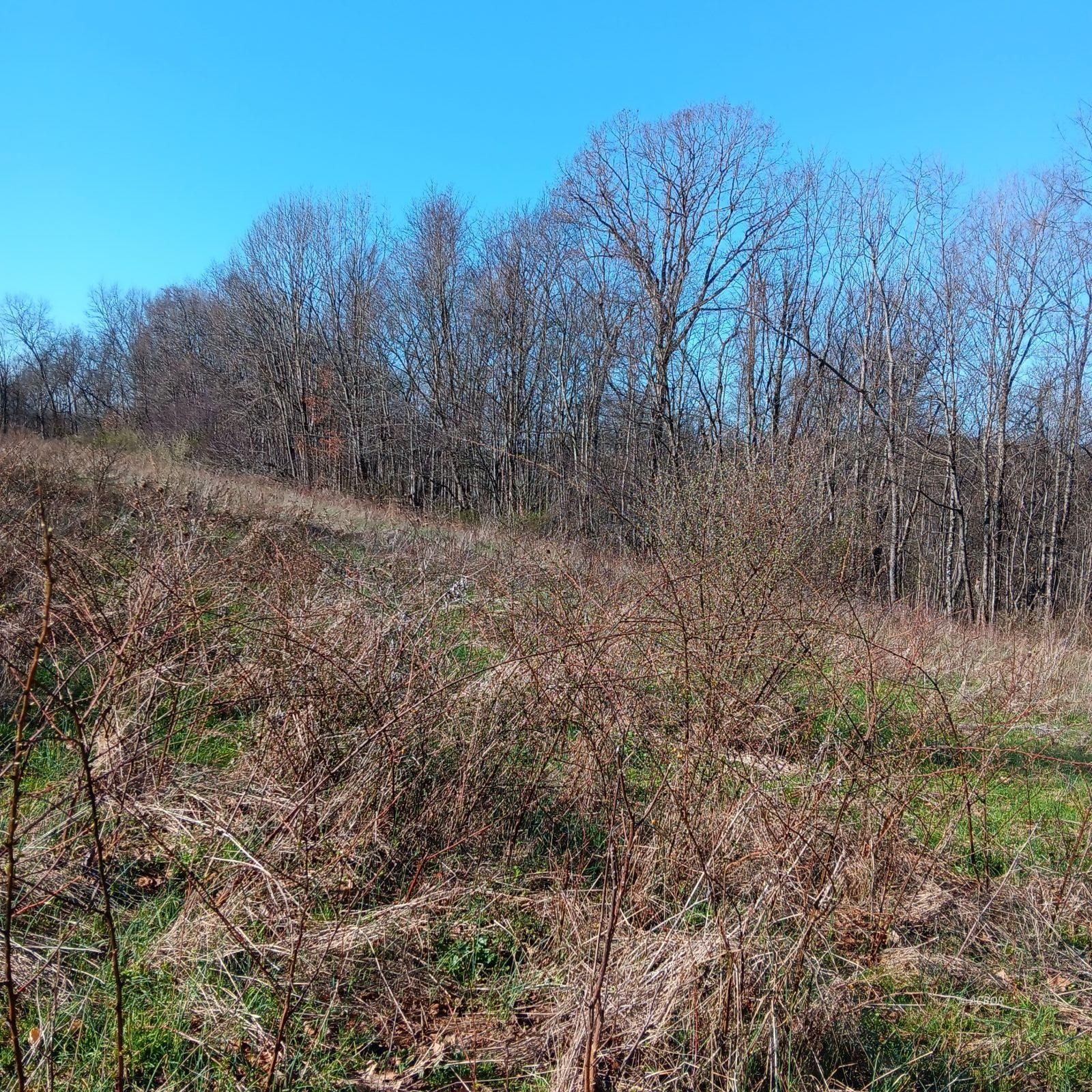 Setty Rd Property Photo 4