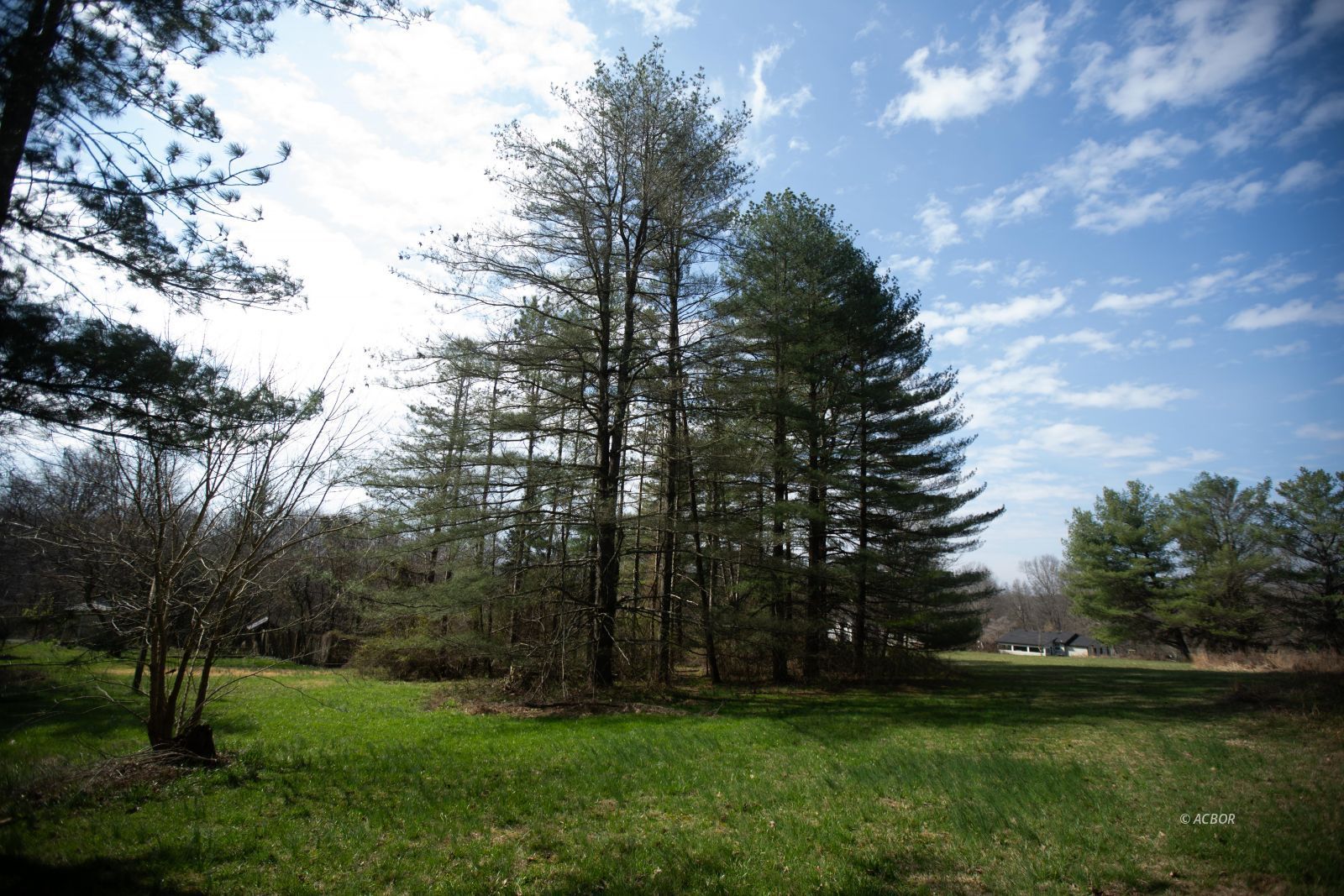 5620 Vore Ridge Rd Property Photo 33