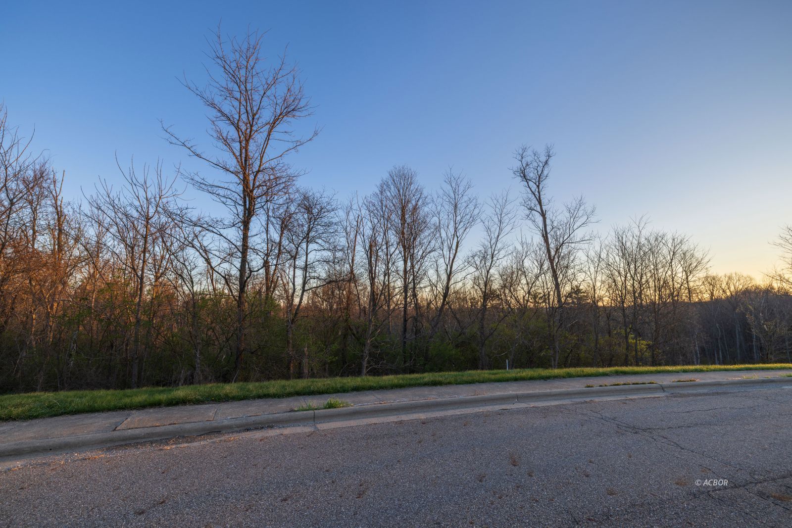 4 Larson's Way Property Photo 3