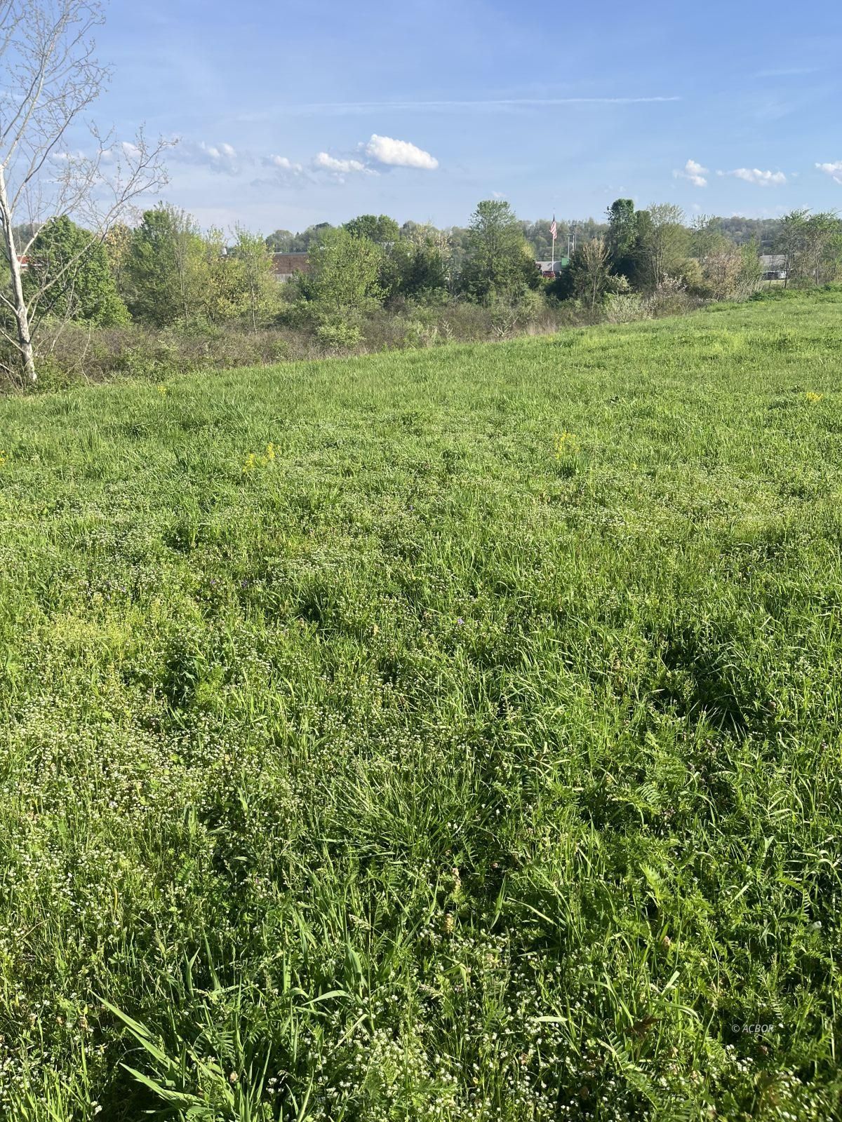 Commerce Dr. Property Photo 12
