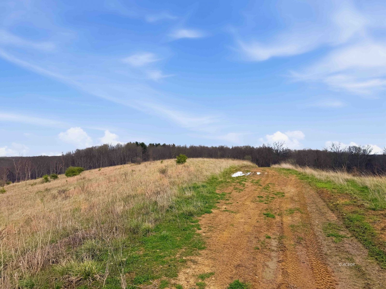 22470 Griffith Rd Property Photo 5