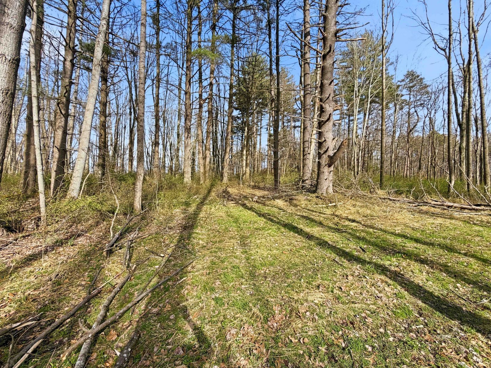 22470 Griffith Rd Property Photo 9