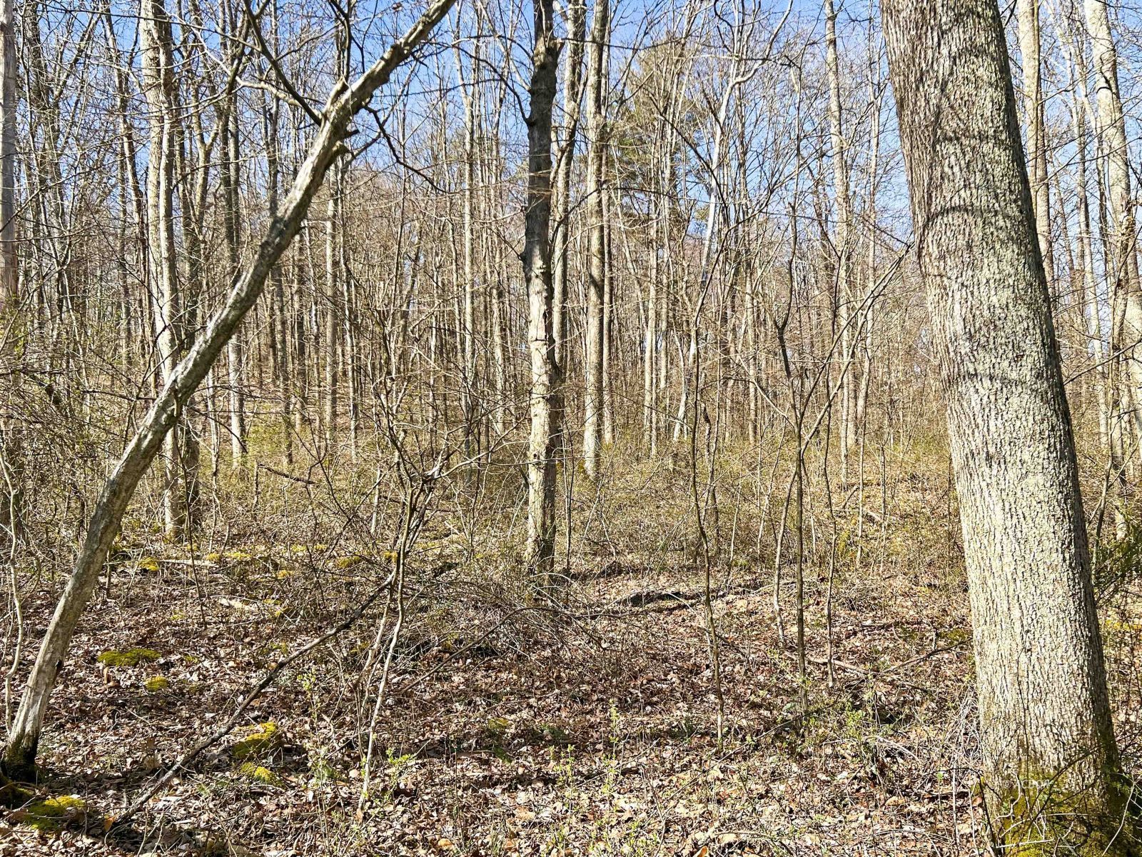 22470 Griffith Rd Property Photo 13