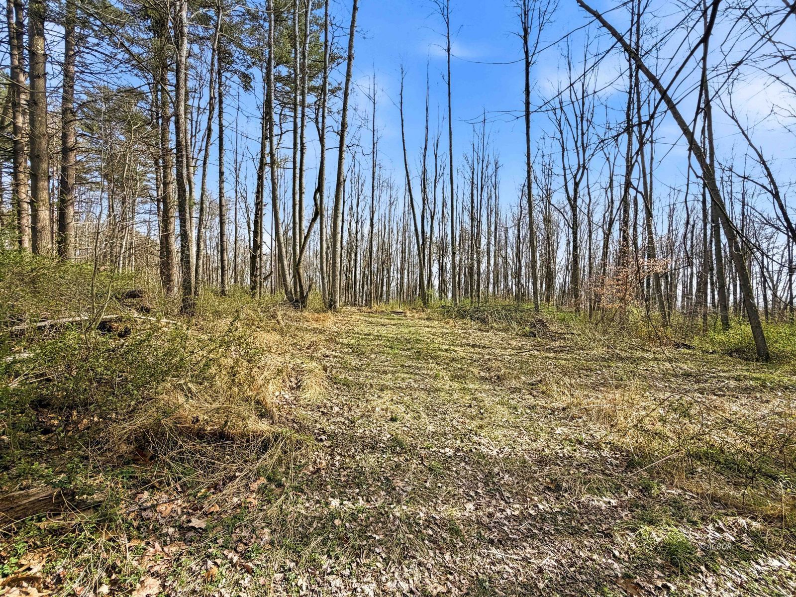 22470 Griffith Rd Property Photo 26