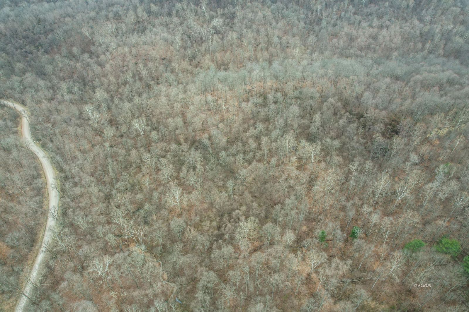 000 Little Kyger Property Photo 15