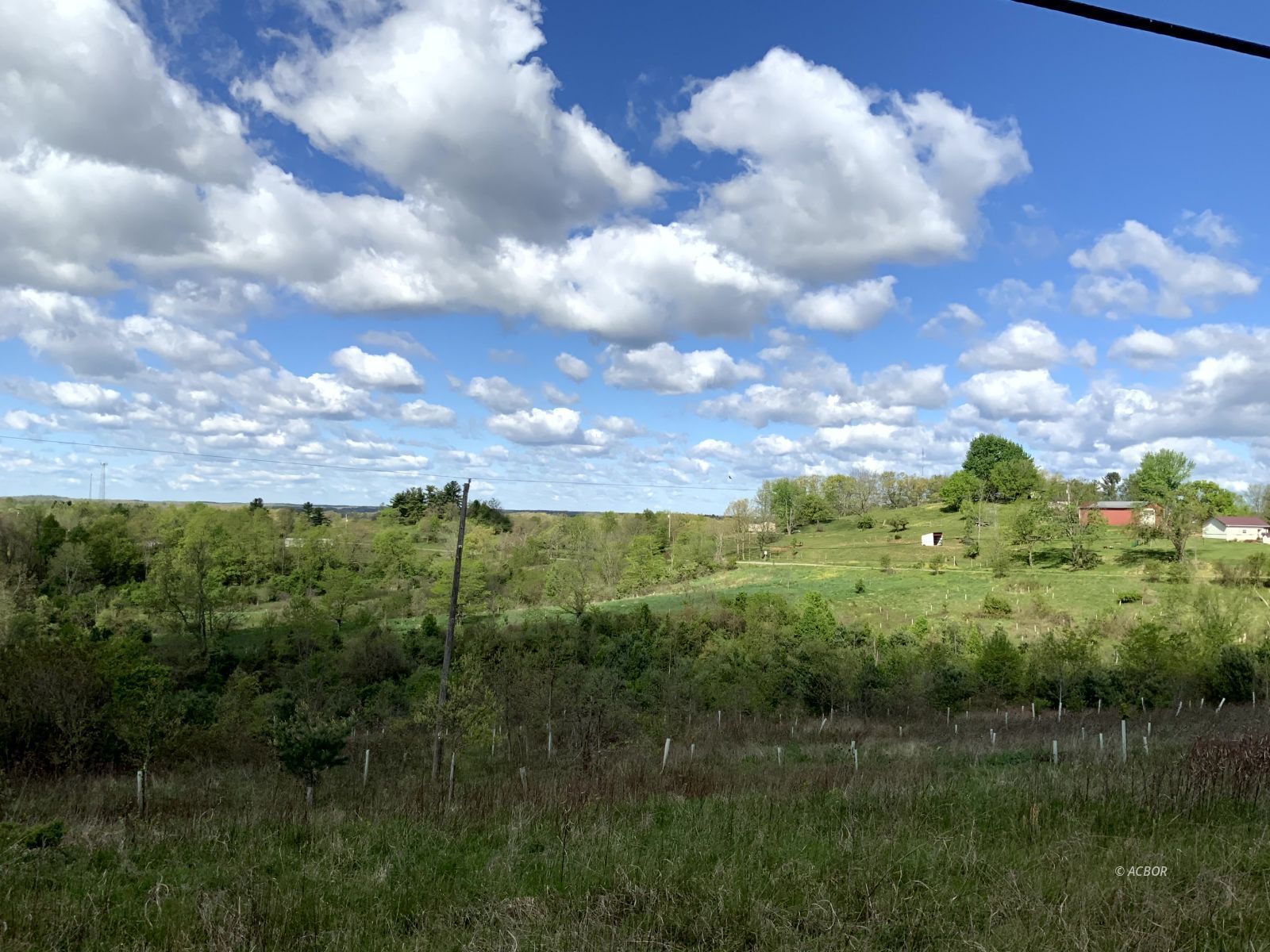 Blackburn Woods Property Photo 2