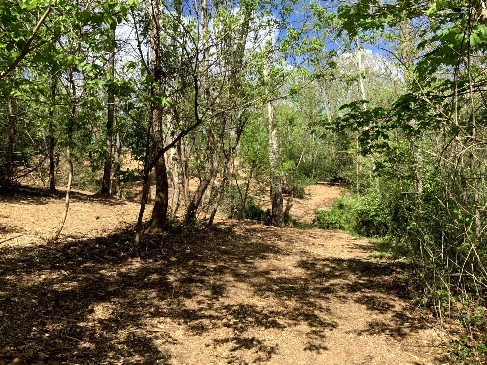 Blackburn Woods Property Photo 5