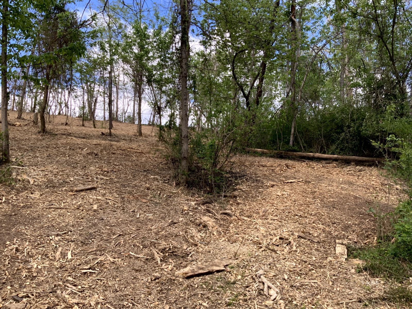 Blackburn Woods Property Photo 6