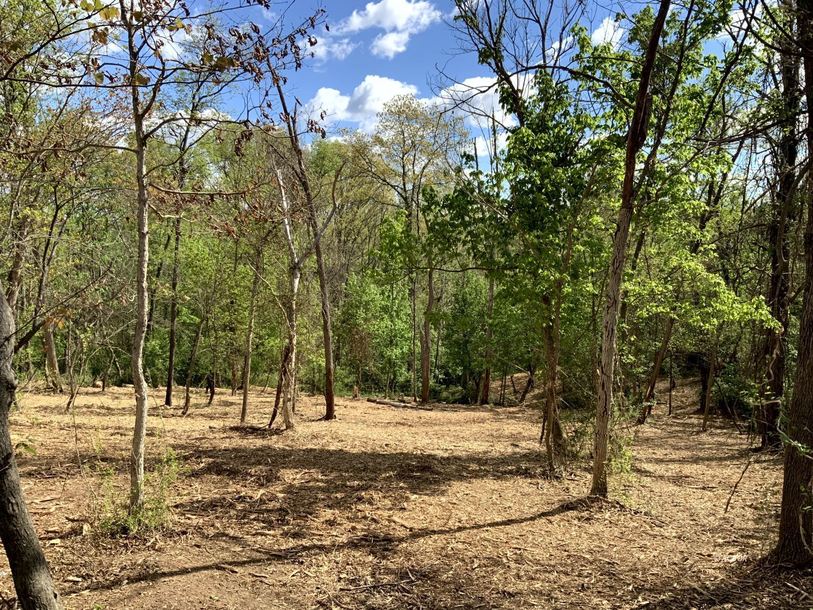 Blackburn Woods Property Photo 9
