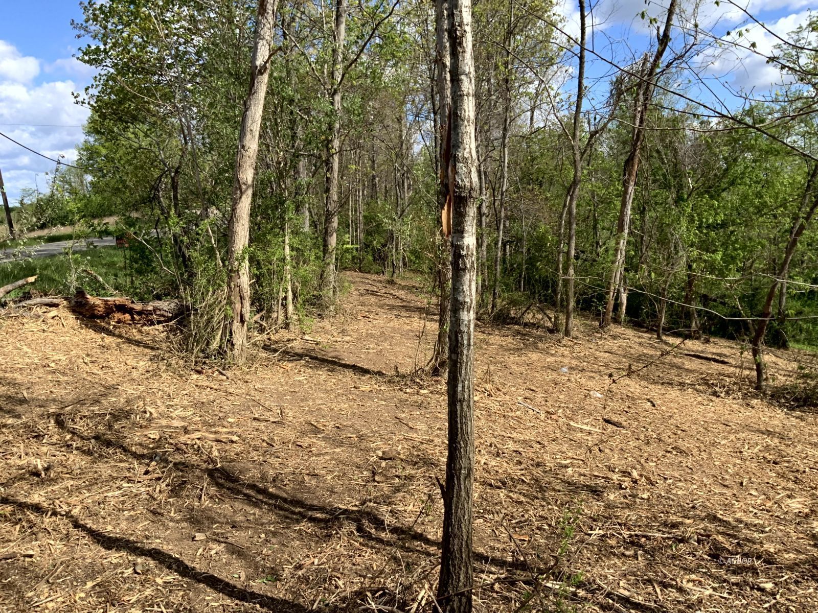 Blackburn Woods Property Photo 11