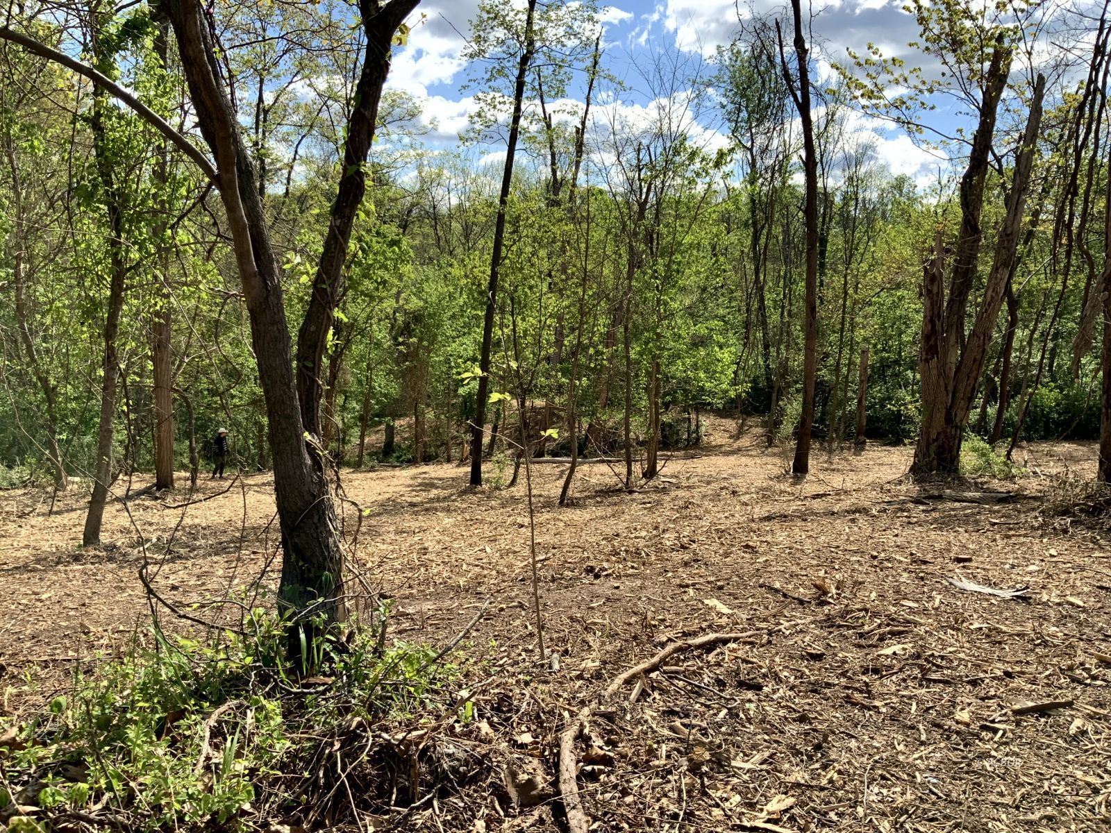 Blackburn Woods Property Photo 12