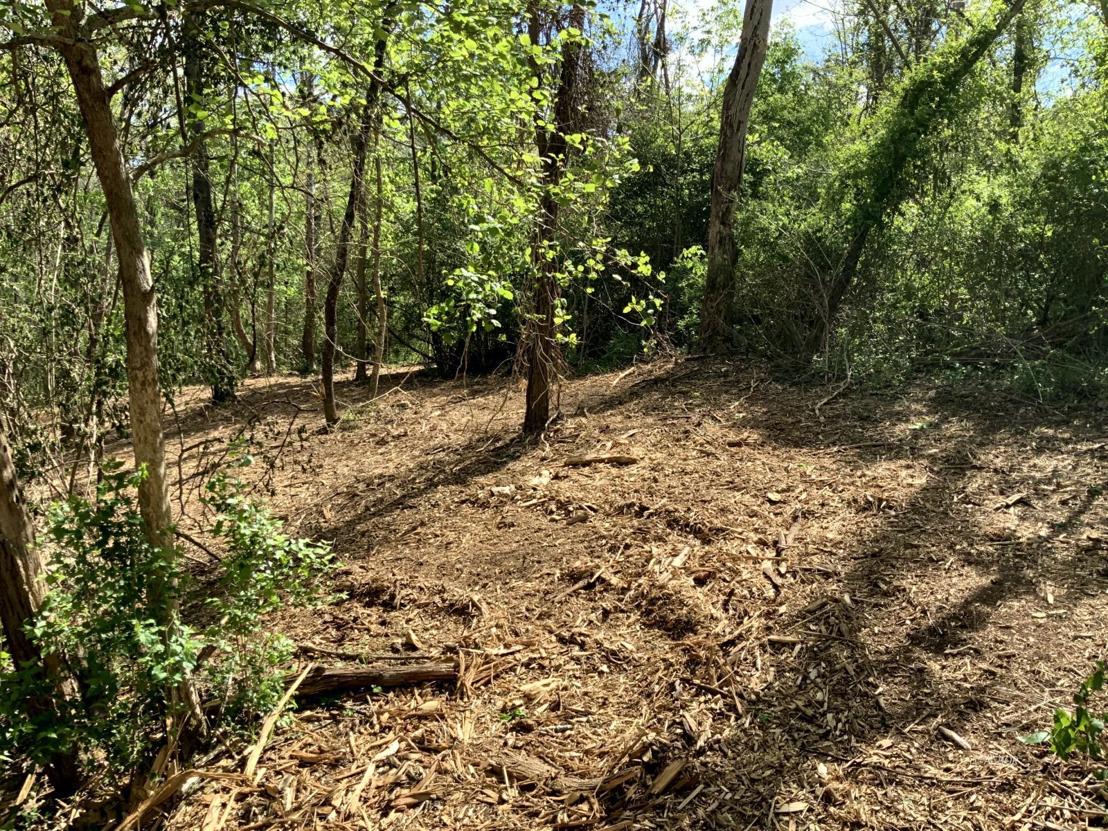 Blackburn Woods Property Photo 13