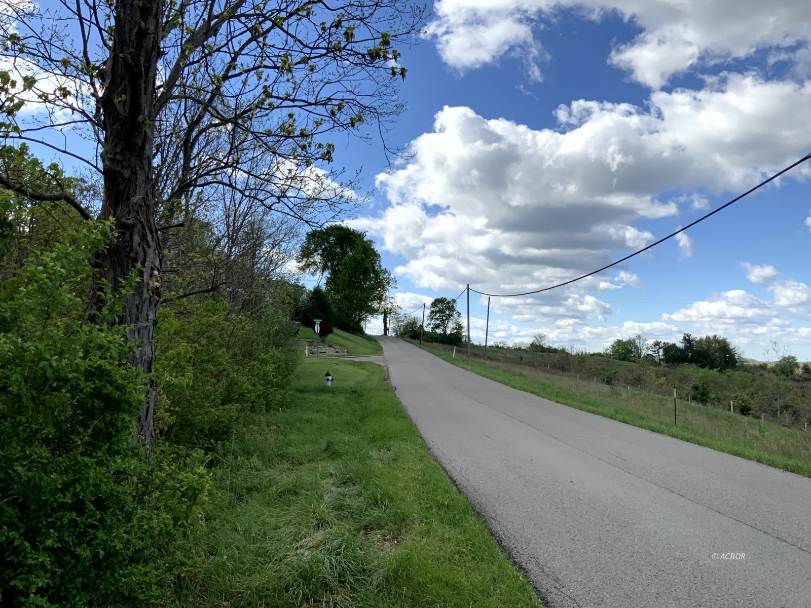 Blackburn Woods Property Photo 14