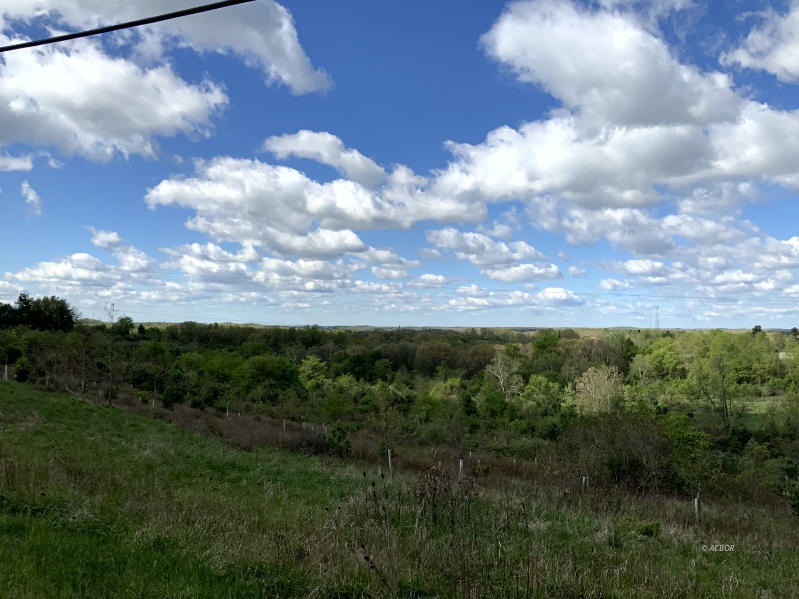 Blackburn Woods Property Photo 15