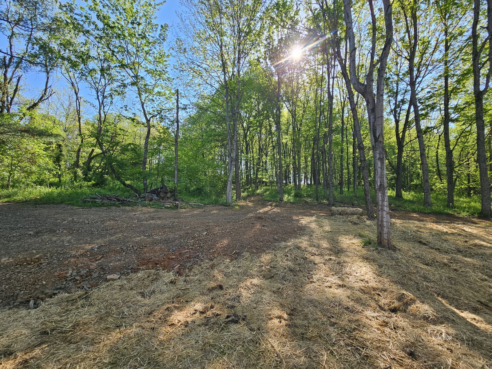 4595 State Route 850 Property Photo 15