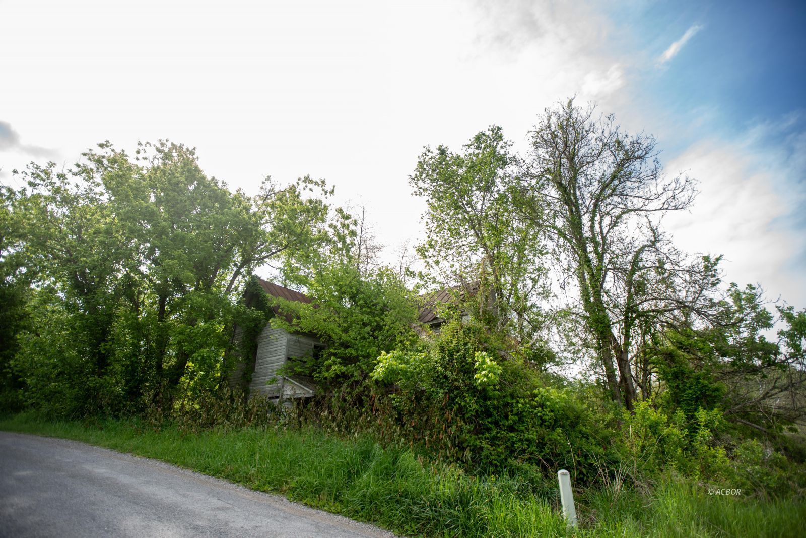 7457 Chase Rd Property Photo 8