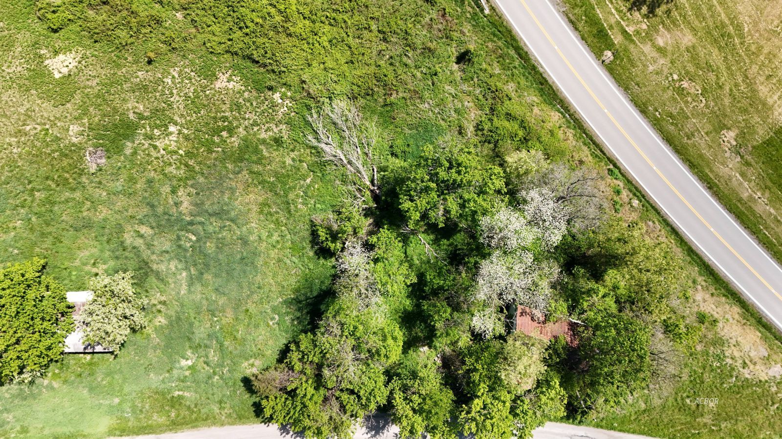 7457 Chase Rd Property Photo 19