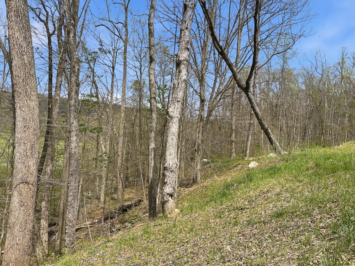 Tick Ridge Koenig Hill Property Photo 5