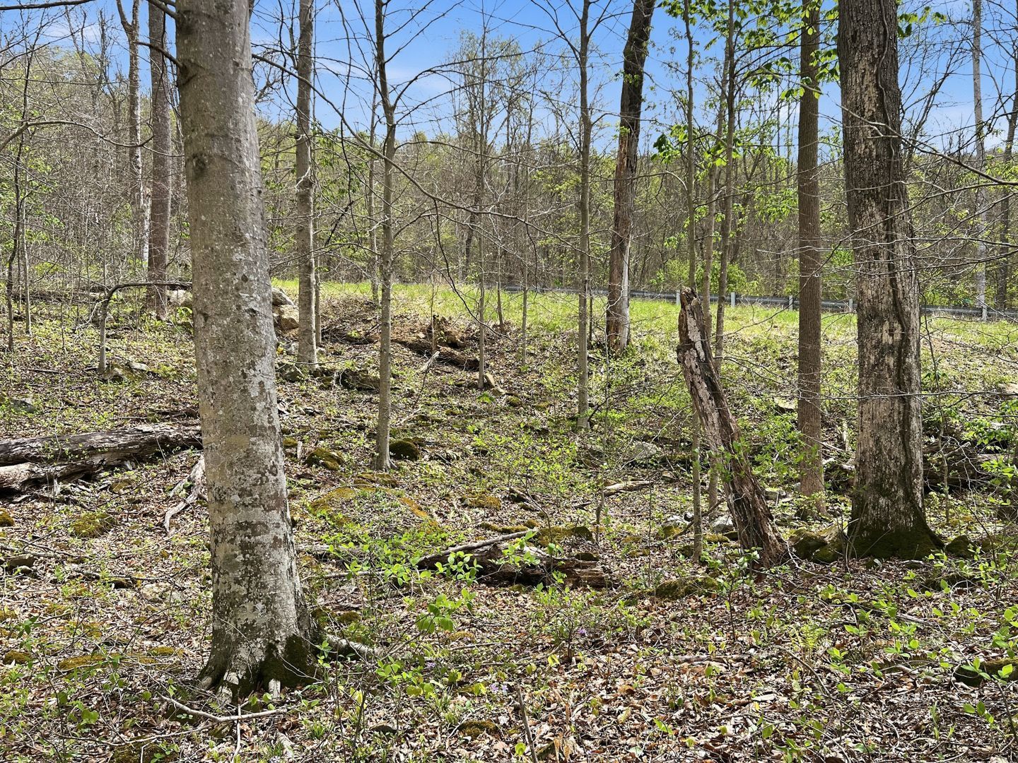 Tick Ridge Koenig Hill Property Photo 7