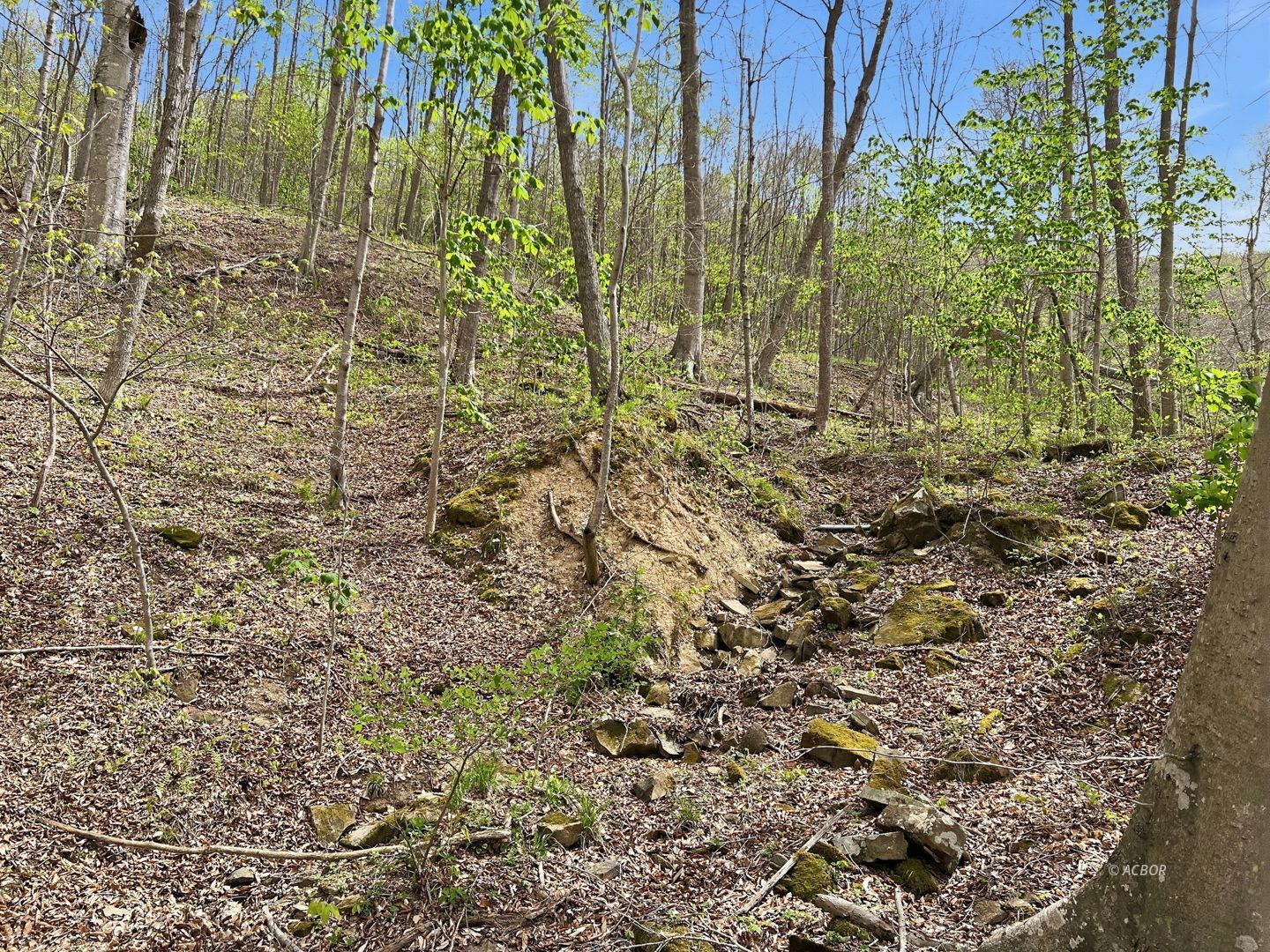 Tick Ridge Koenig Hill Property Photo 12