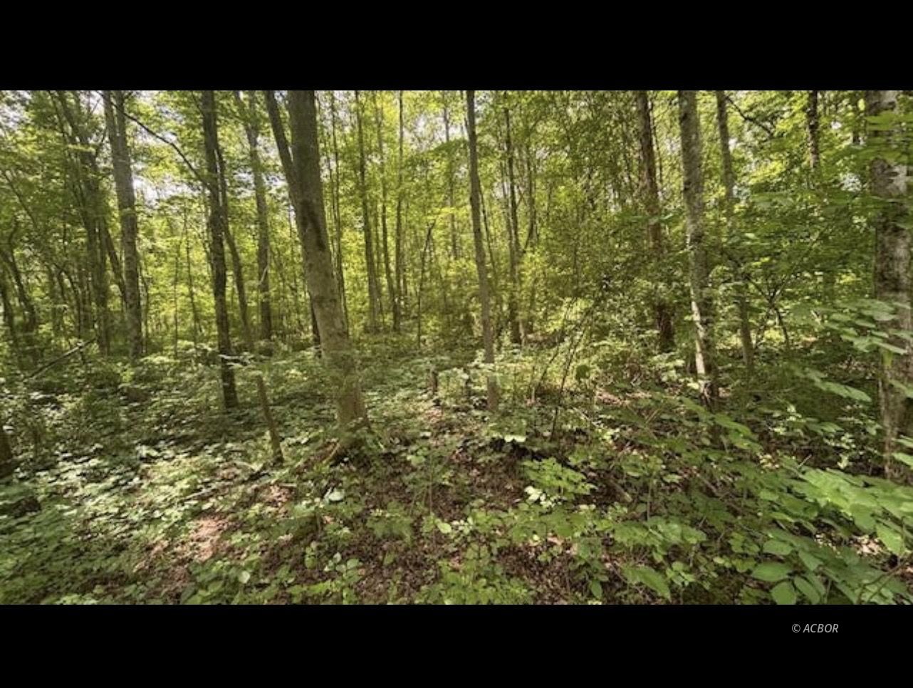 14500 Wolfe Rd Property Photo 3