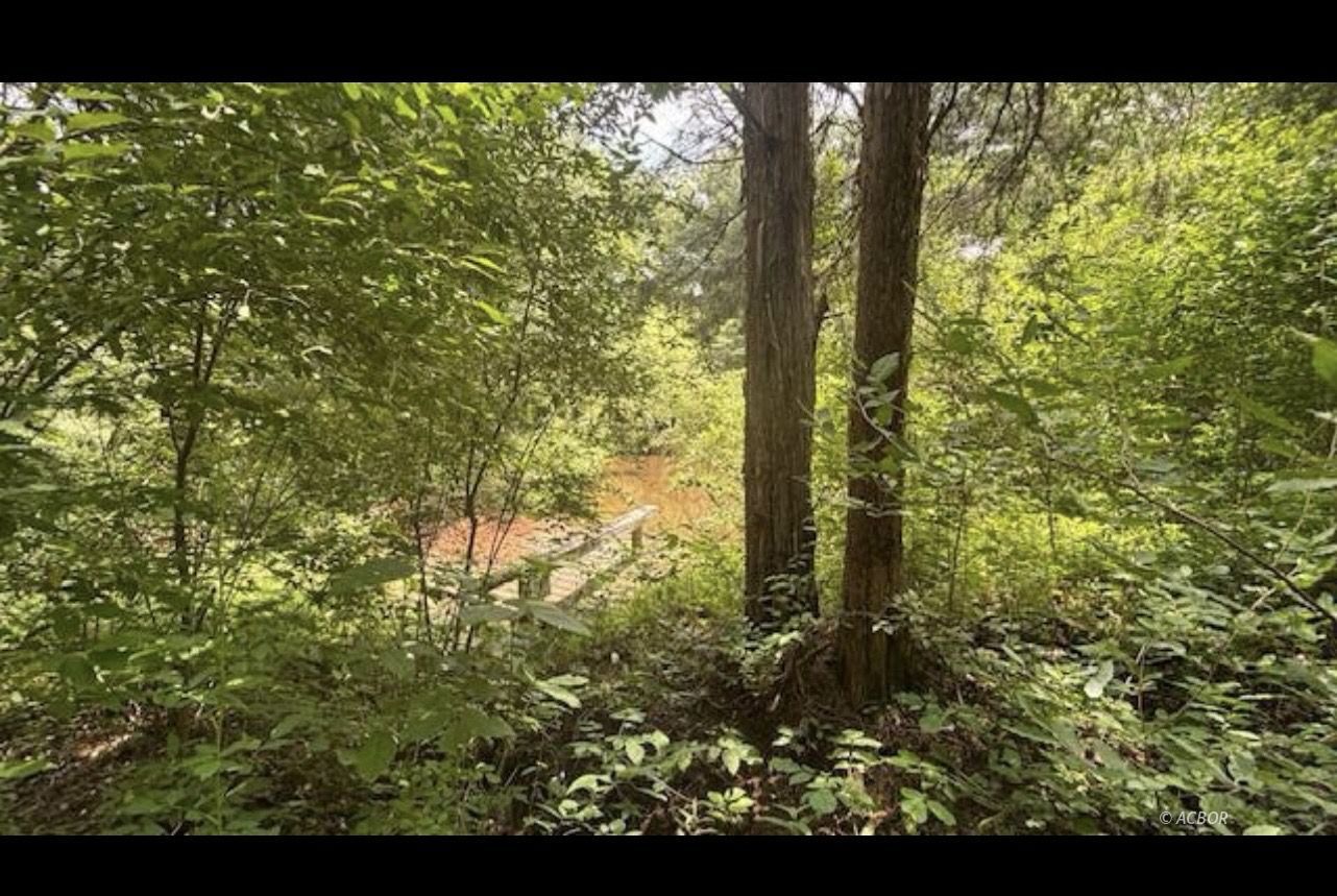 14500 Wolfe Rd Property Photo 4