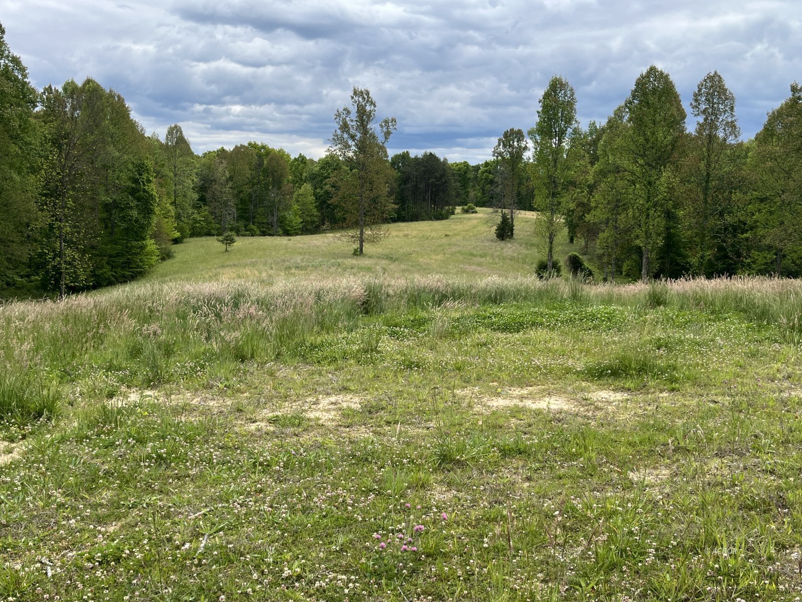 Metheny Fairplay Rd Property Photo 1