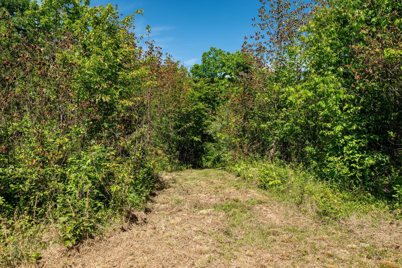 Oh 139 Property Photo 24