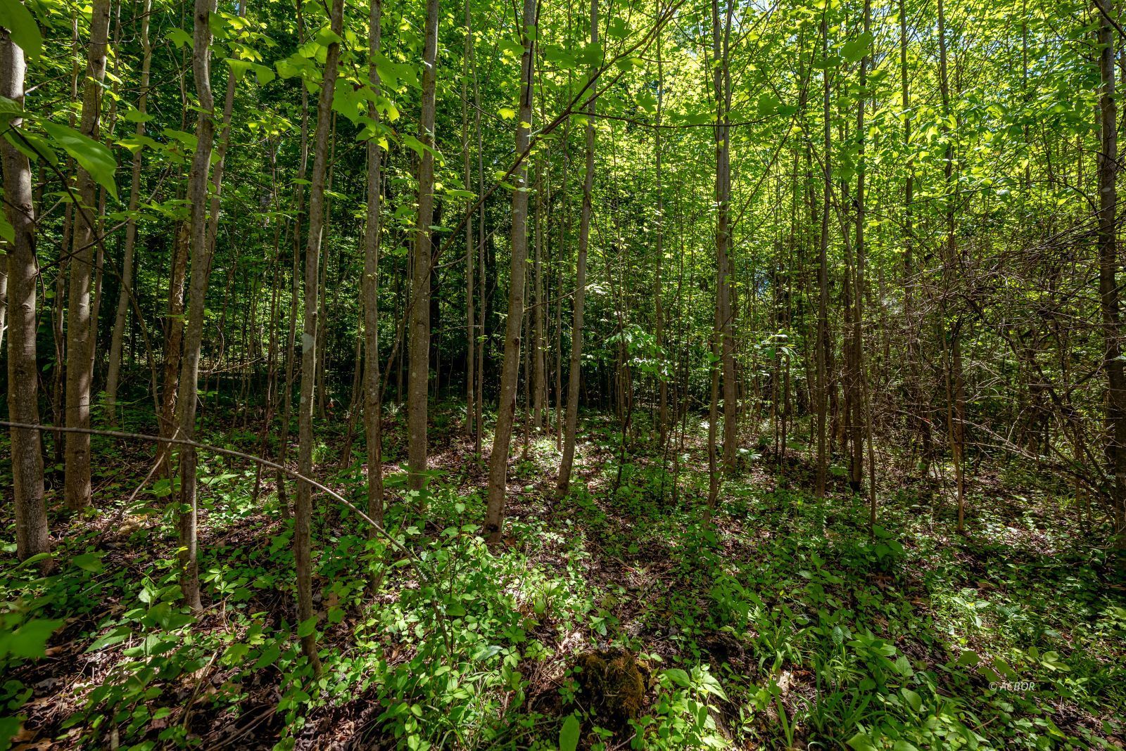 Oh 139 Property Photo 25