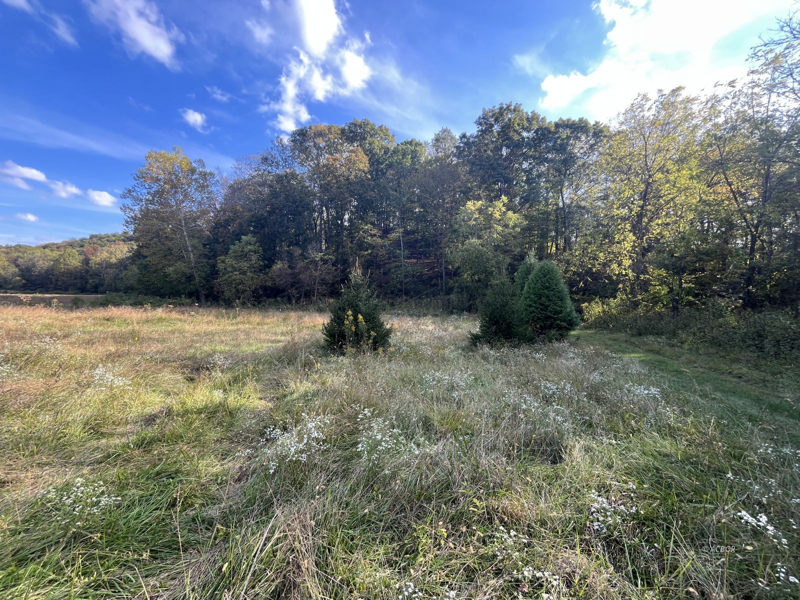 Star Hall Rd Property Photo 10