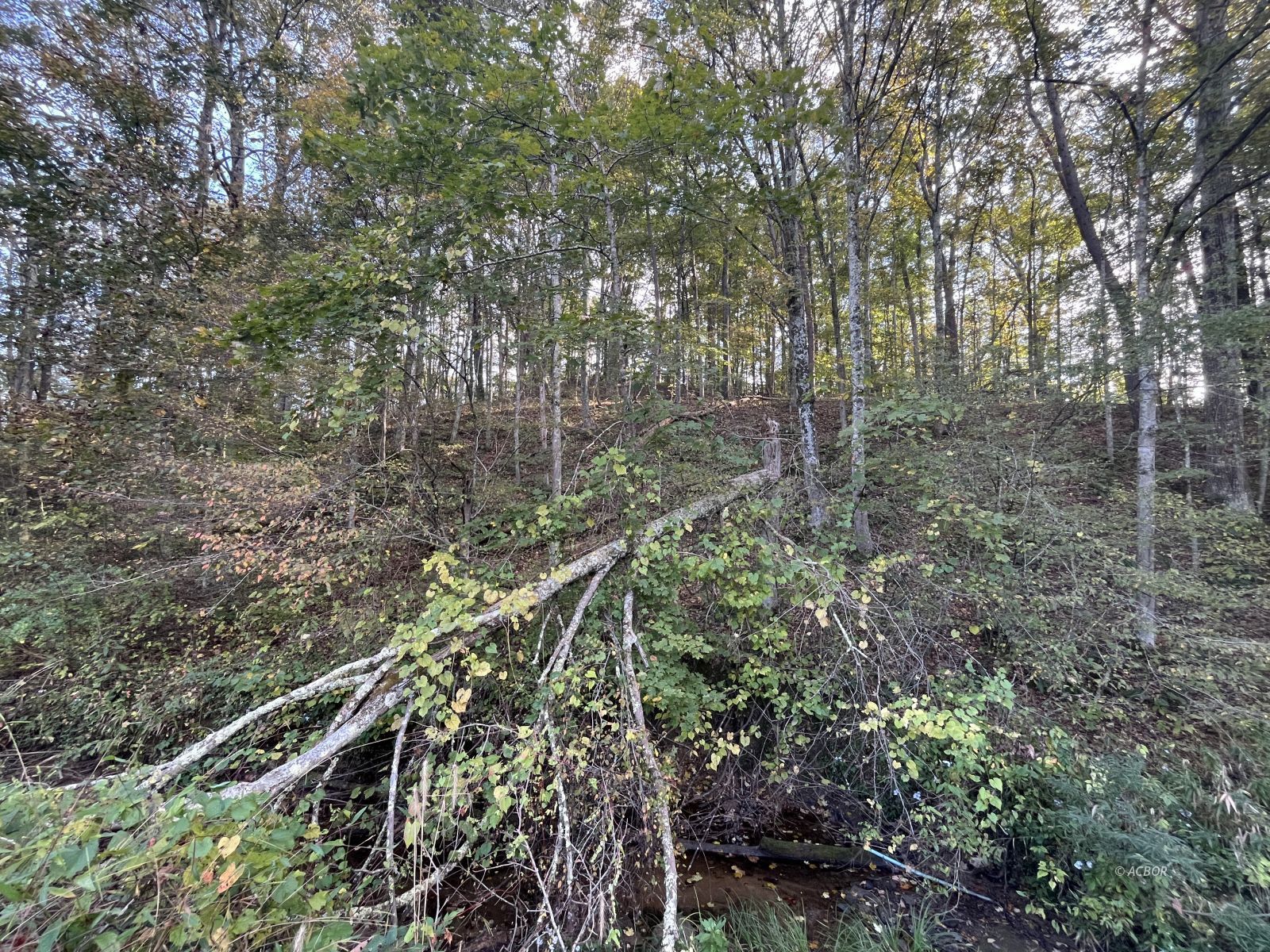 Star Hall Rd Property Photo 15