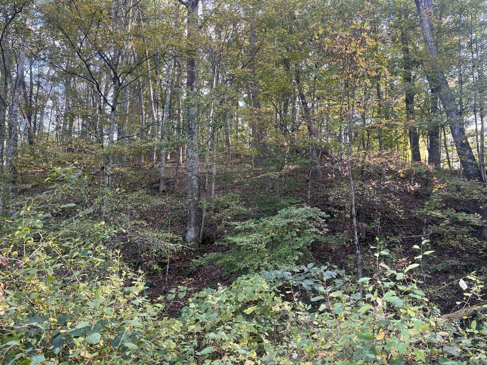 Star Hall Rd Property Photo 16