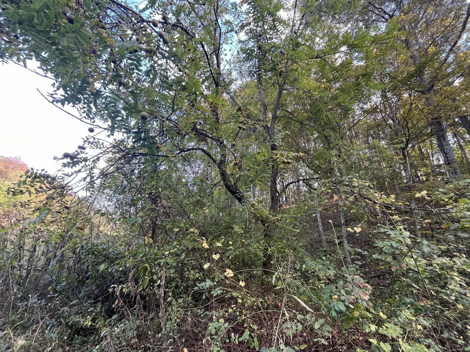 Star Hall Rd Property Photo 17