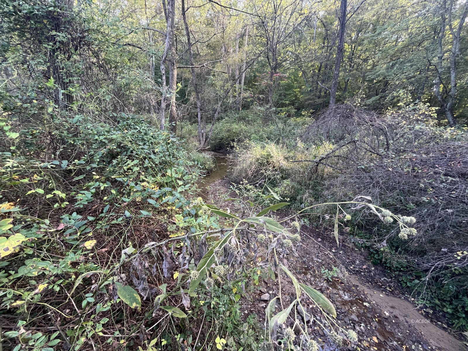 Star Hall Rd Property Photo 22