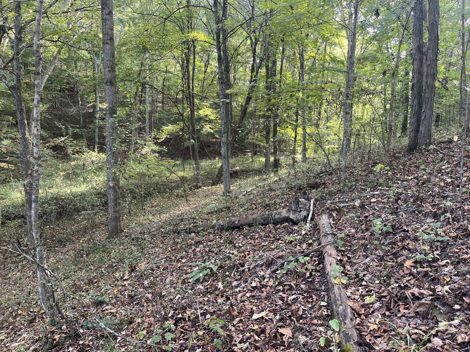 Star Hall Rd Property Photo 24