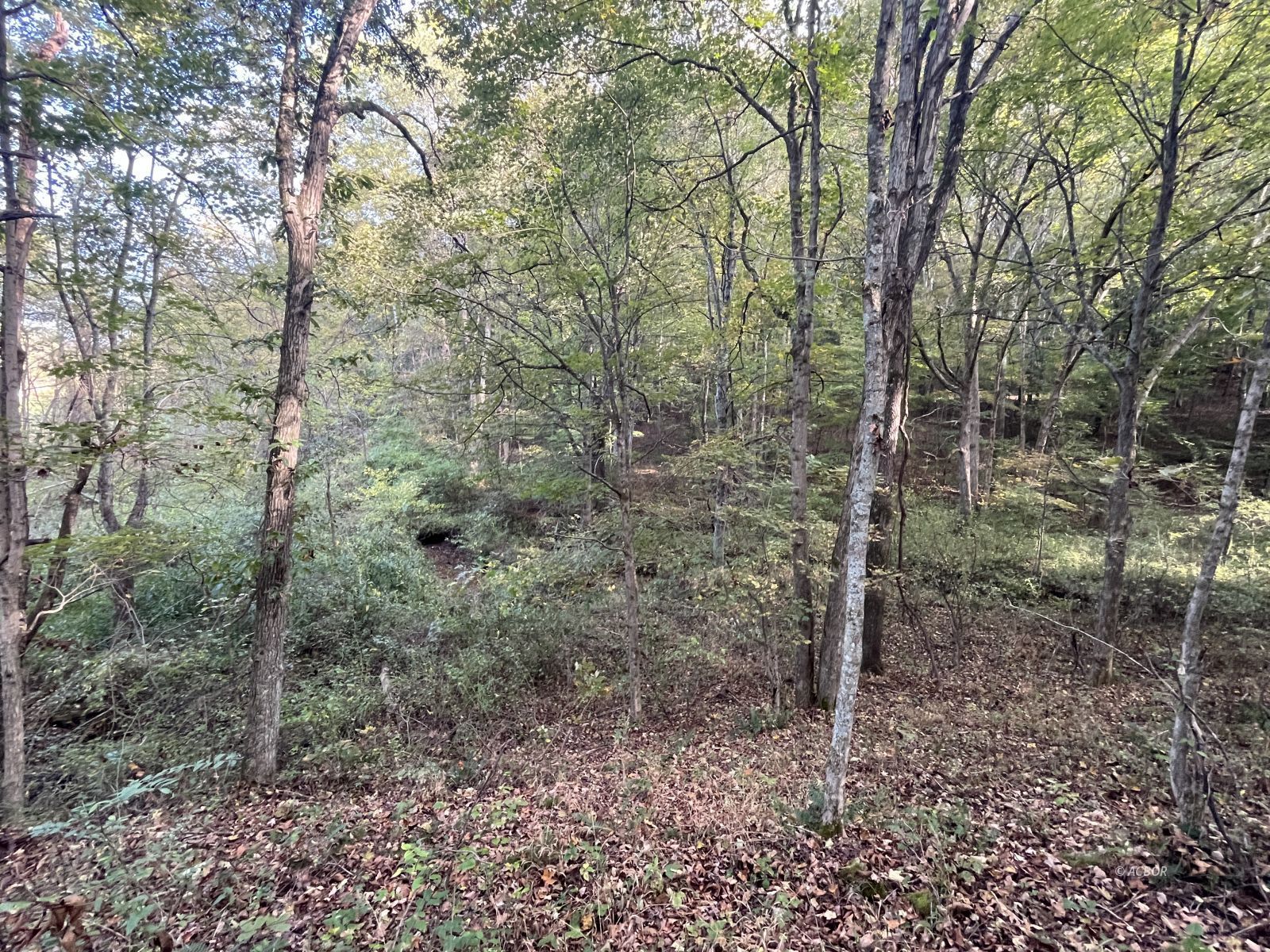 Star Hall Rd Property Photo 25