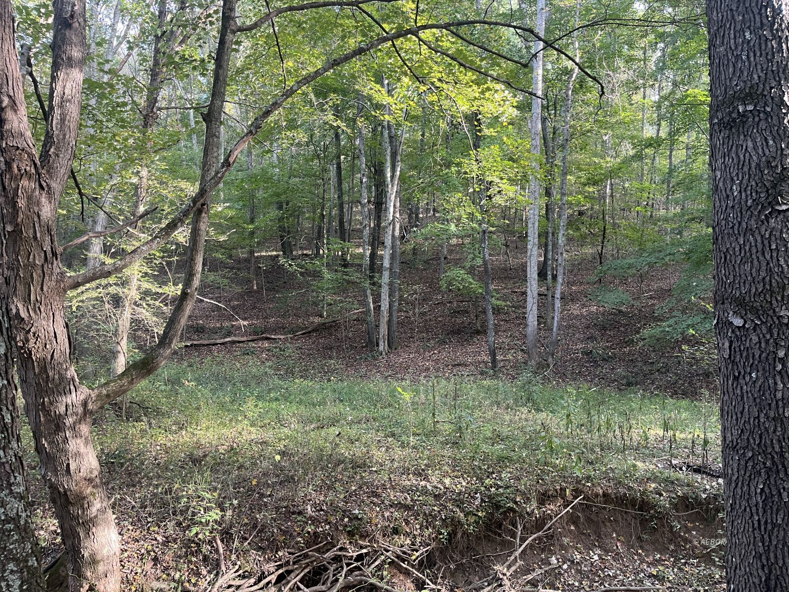 Star Hall Rd Property Photo 26