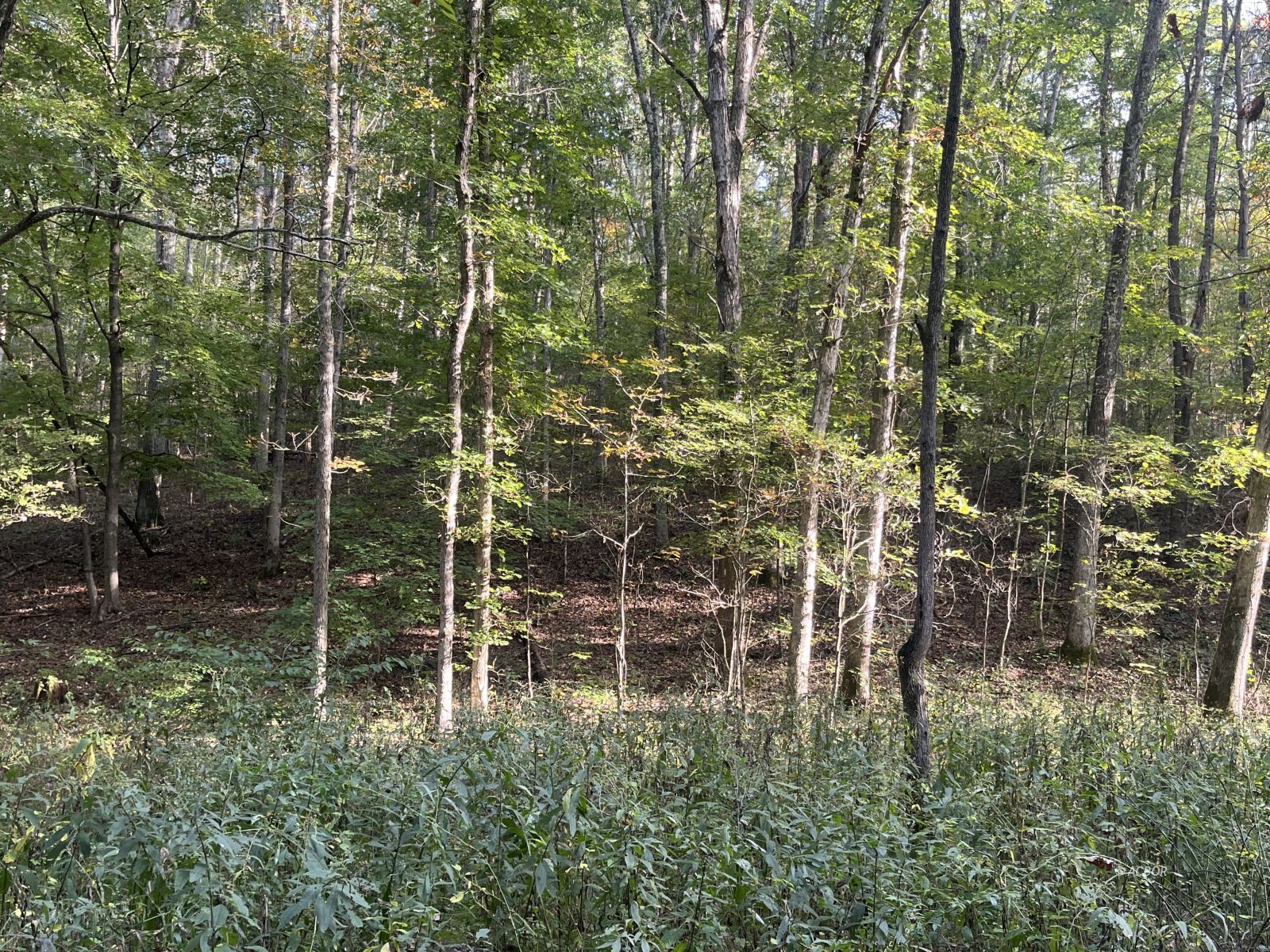 Star Hall Rd Property Photo 31
