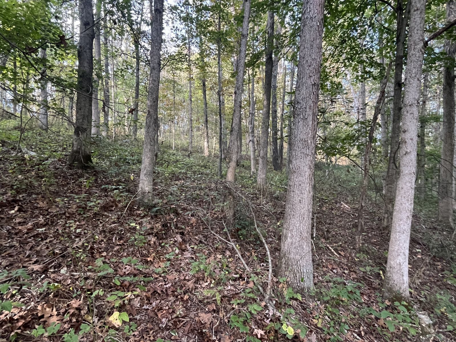 Star Hall Rd Property Photo 32