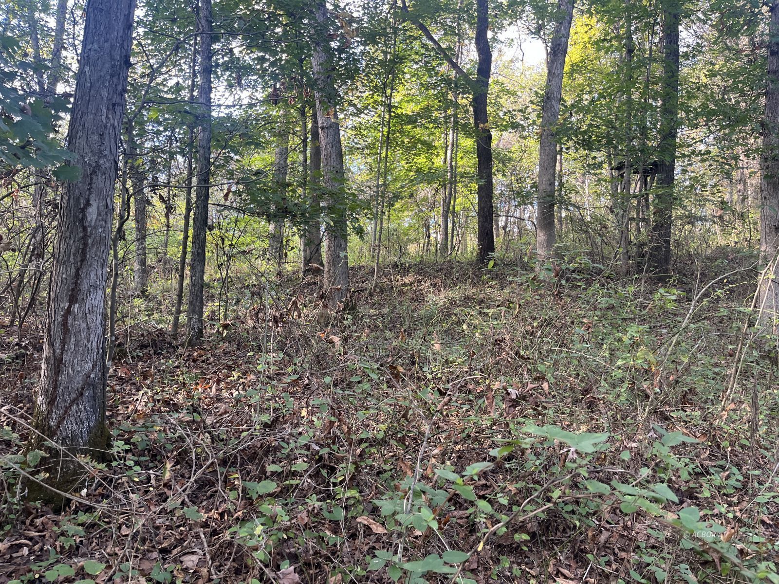 Star Hall Rd Property Photo 34