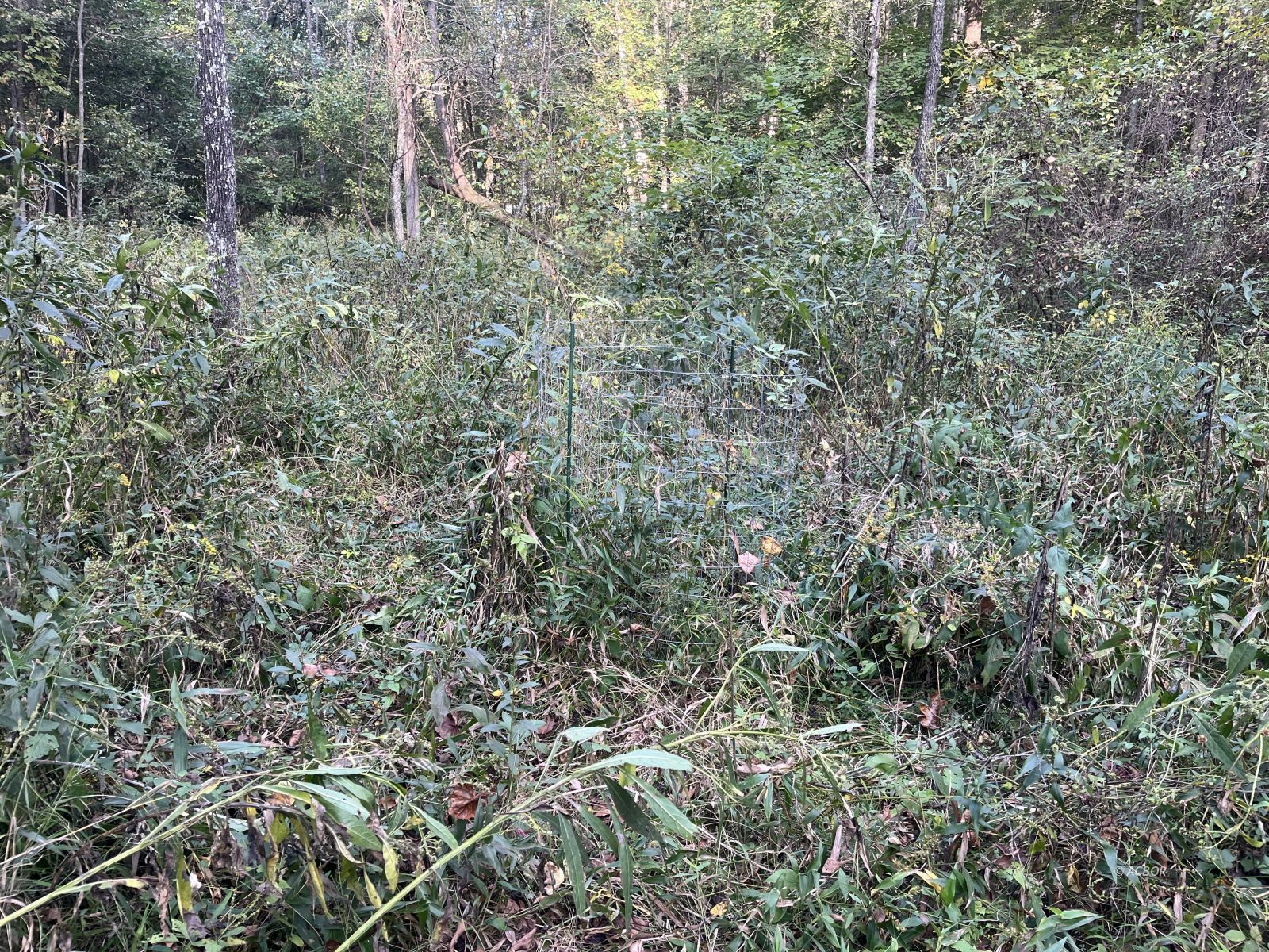 Star Hall Rd Property Photo 36