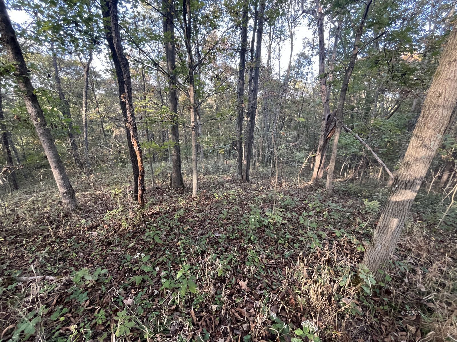 Star Hall Rd Property Photo 44