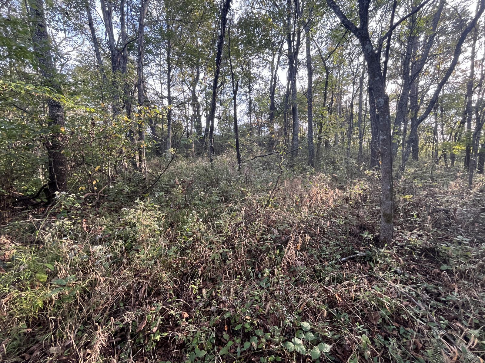 Star Hall Rd Property Photo 45