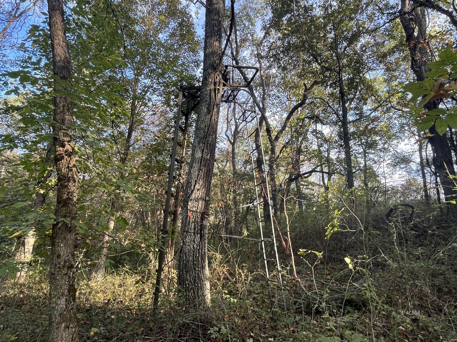 Star Hall Rd Property Photo 46