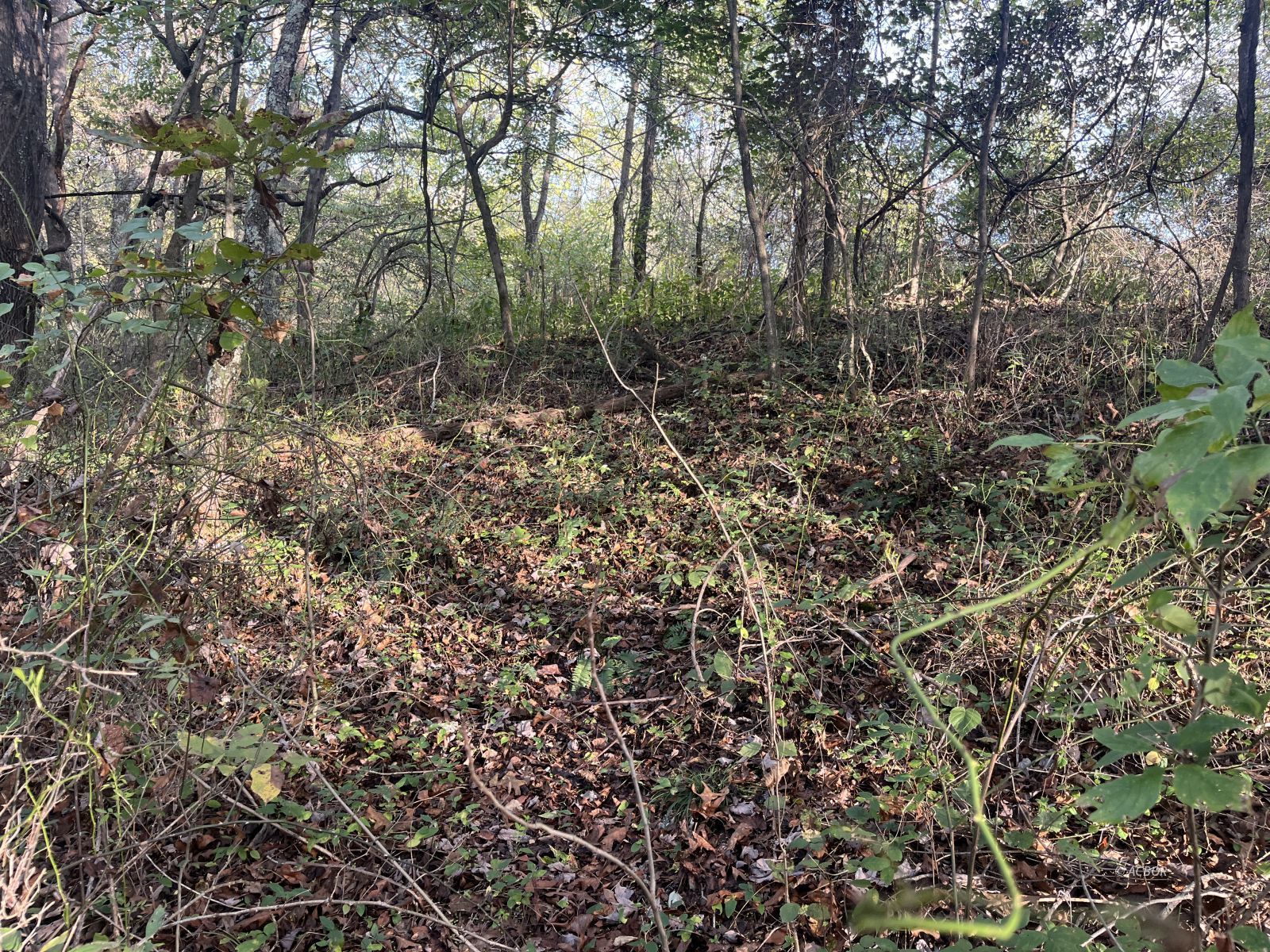 Star Hall Rd Property Photo 48